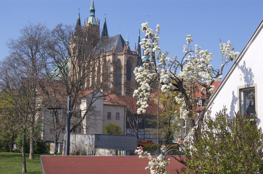 Pension am Dom Erfurt Bagian luar foto
