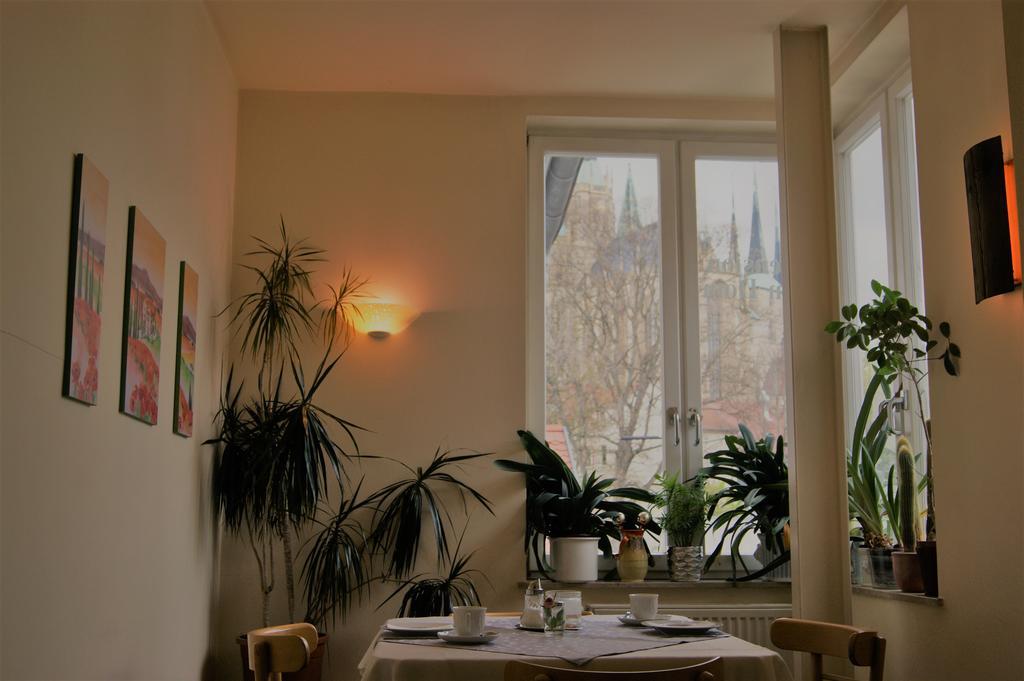 Pension am Dom Erfurt Bagian luar foto